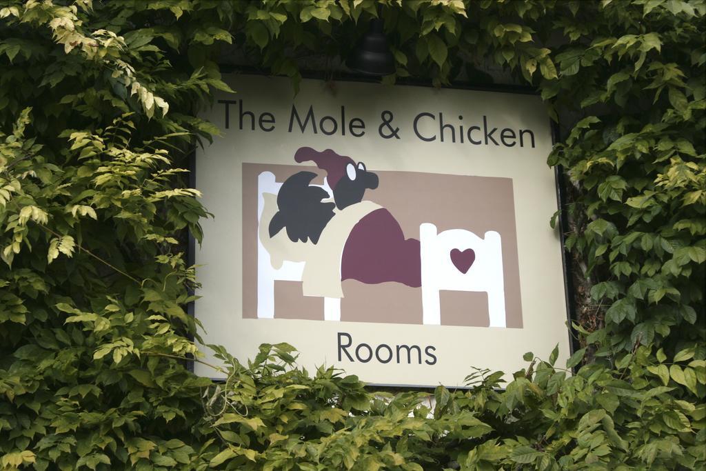 Hotel The Mole And Chicken Long Crendon Zewnętrze zdjęcie